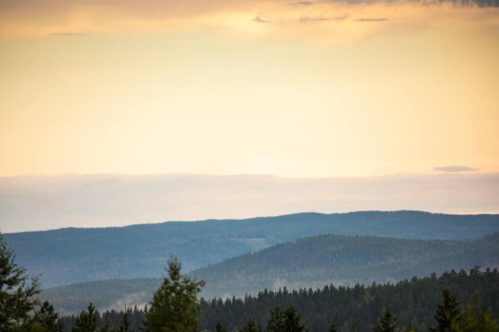 Langroesta; Ruime Blokhut Grenzend Aan Bos Villa Hagfors Exterior photo