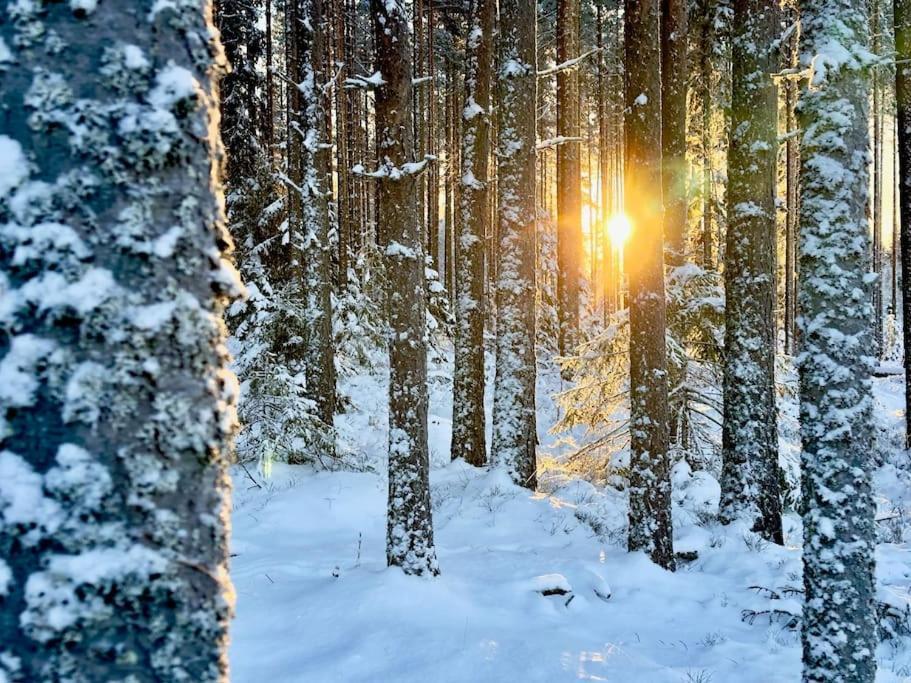 Langroesta; Ruime Blokhut Grenzend Aan Bos Villa Hagfors Exterior photo